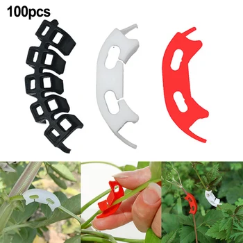 100*Pomidorų Įrašą Remia Prisijungia Plastiko Augalų Alkūnės Įrašą Apsaugos Skiepyti Tvirtinimo Įrankiai Daržovių Filialas Sodininkystės Įrankis